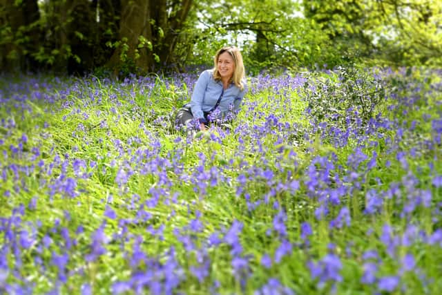 Penny Simkin in the bluebell walk at Essington Farm on the Wolverhampton-Staffordshire border.