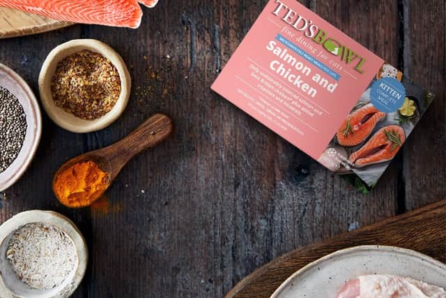 Salmon and chicken for cats 