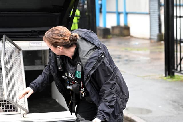 Two-year-old PD Lightning and his handler were on hand to help with the police operation