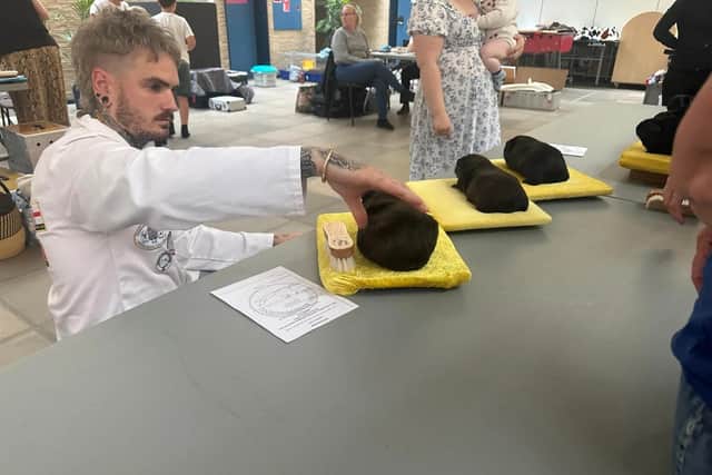 Jme judging a black guinea pig