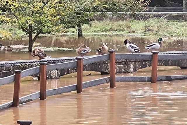 Flooding in Kinver. Photo: Kinver Miniature Railway