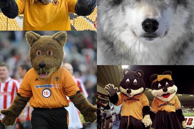 Wolves fans split over new look Wolfie