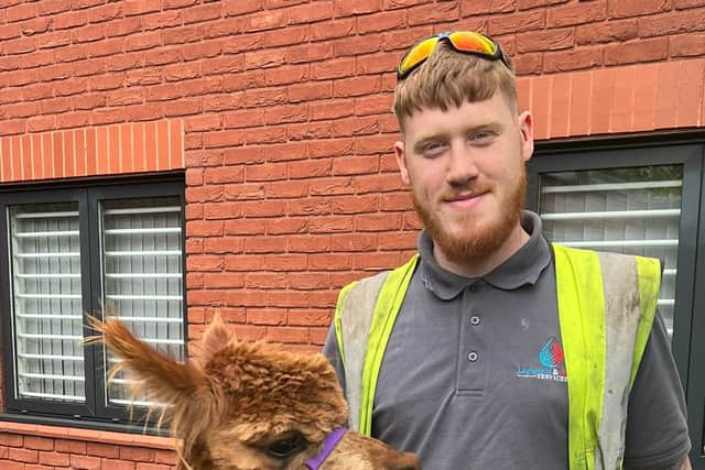 Legionella & Fire Services welcomed some alpacas this week  