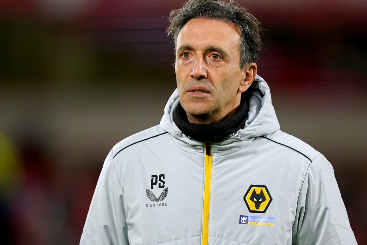 Wolves Assistant Wolves assistant head coach Pablo Sanz handed £6k fine and touchline ban