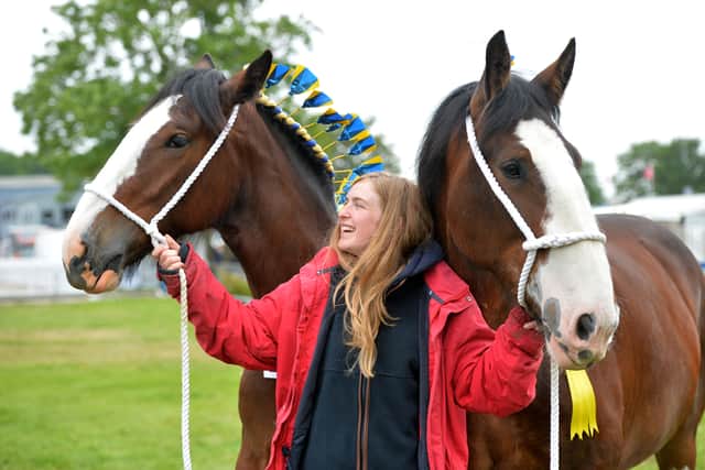 Lucy Ford, 22, with her family's Shire horses