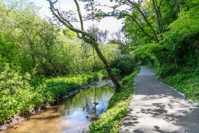 There are a number of walks people can go on  