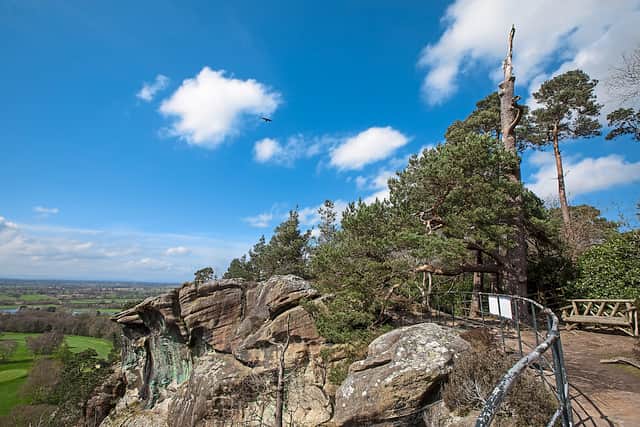 Hawkstone Park