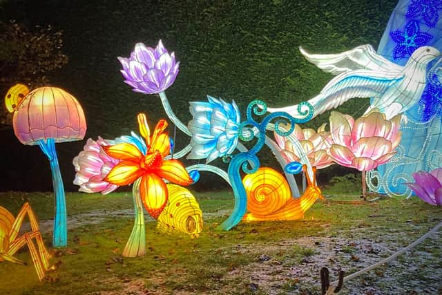 A small section of the Lantern Festival, which helps to create festive mood at the park (Picture: Mark Morris)