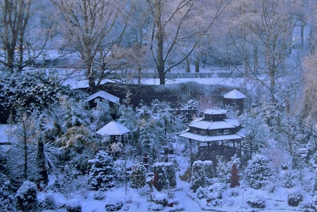 A winter's scene