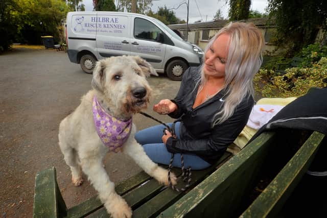 Cheryl Gibson of Shropshire Canine Enrichment with Mr Morris at Hilbrae Rescue Kennels before his adoption