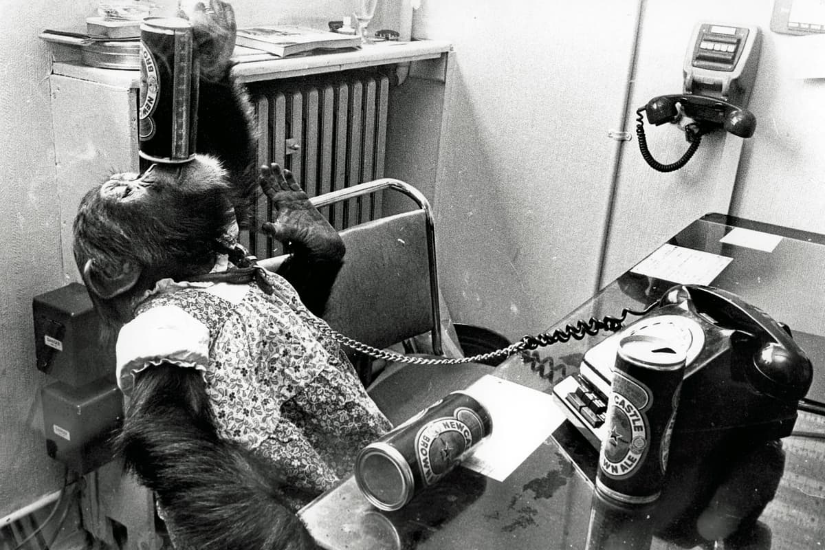 Lew Foley Havin' a loff – the perils of working with children, animals, and male ...