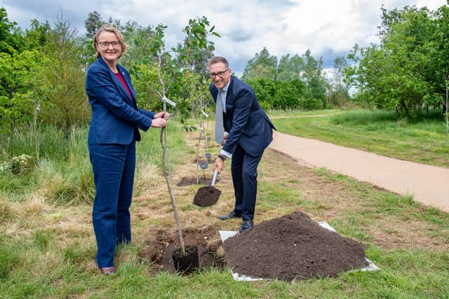 Housing developer funds new tree-lined walkway at National Memorial ...