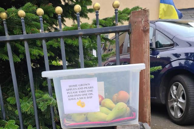 Brazen thief caught on camera stealing entire fruit box meant for community