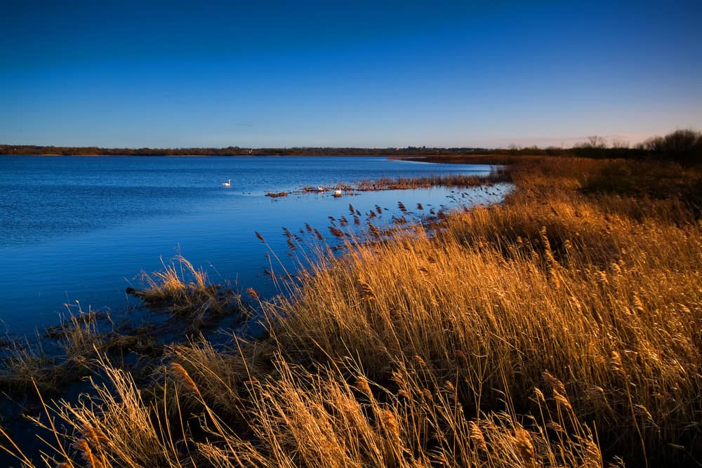 Lough Neagh 