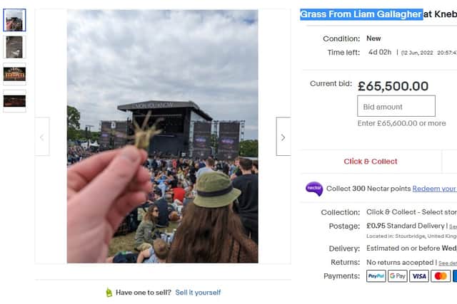 Grass From Liam Gallagher at Knebworth