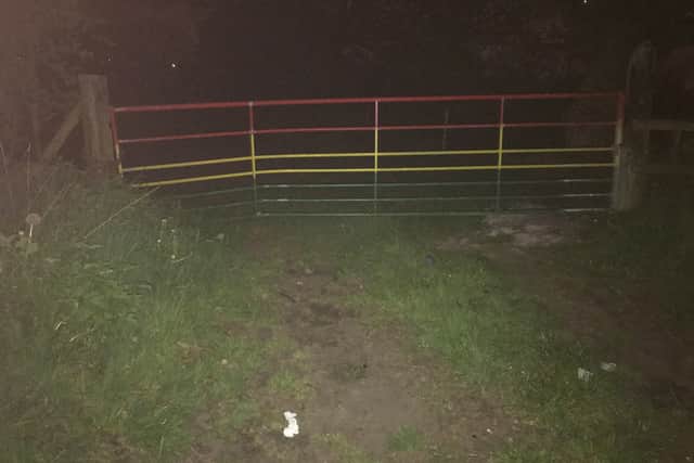 The cat and kittens were left in a gateway to a field in Green Lane, Walsall Wood.