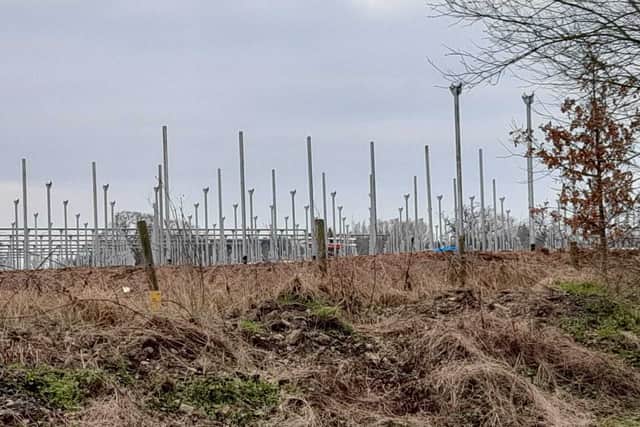 Work taking place to install the polyhouses.