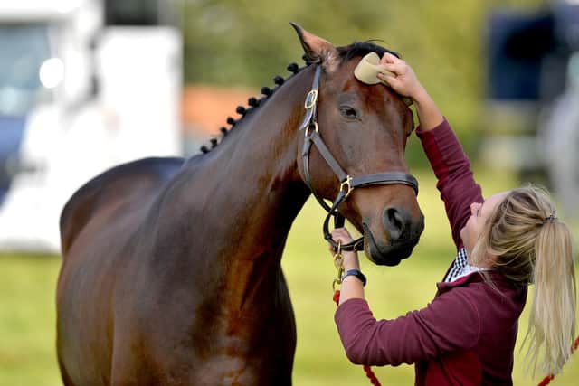 Alice Bibby from Wiltshire with Chantilly Royale II