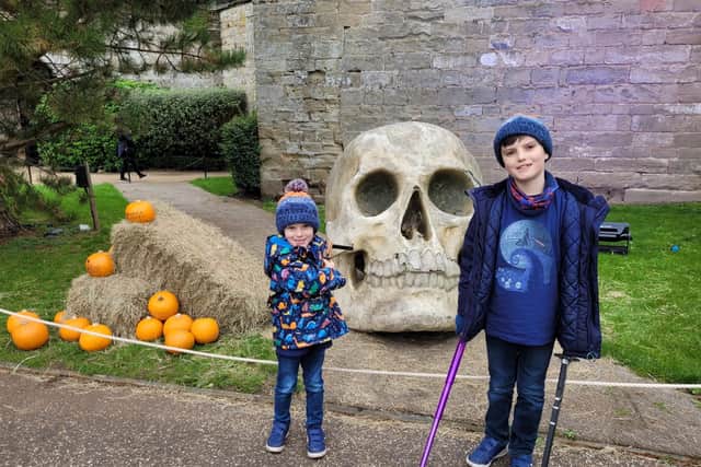 Archie Pugh, 4, and Harry Pugh, 9