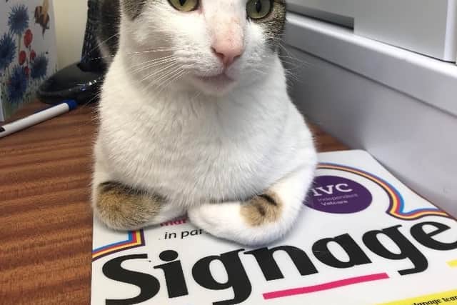 Dexter had been missing from his family home for four months