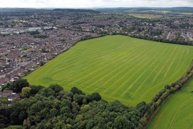 Land off Holbeache Lane, which could be built on