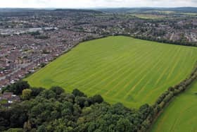 Land off Holbeache Lane, which could be built on