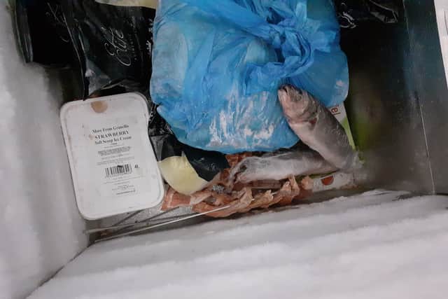 Frozen individual fish stored next to ice cream. Photo: Birmingham City Council
