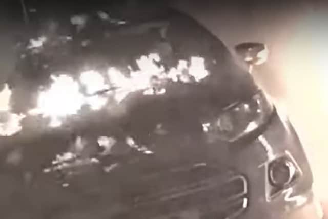 Bungling arsonist sets fire to themself during petrol bomb attack on ...