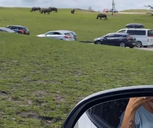 Katie Price's Instagram story at West Midland Safari Park. Photo: Katie Price/Instagram