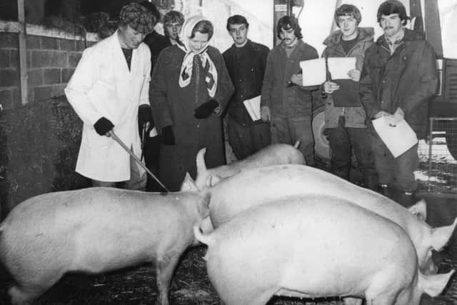 Admiring the pigs during a December 1981 visit to Walford College, near Baschurch, Shropshire