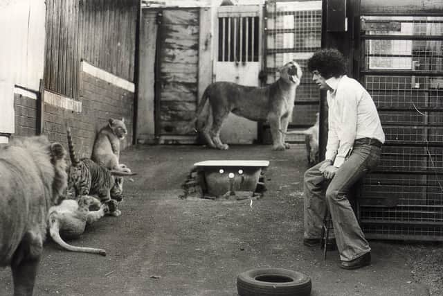 Lew Foley kept a menagerie of big cats behind his home in Cradley Heath
