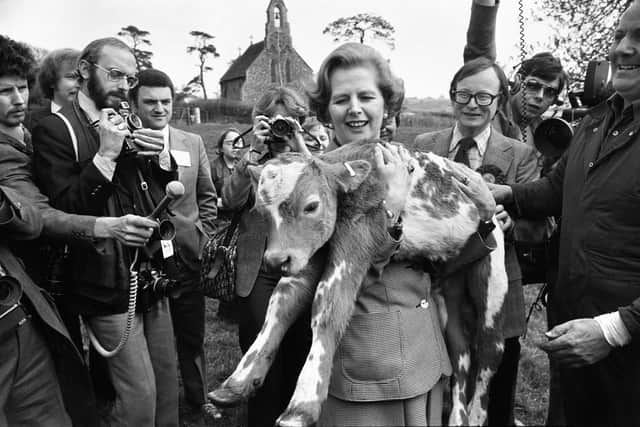 A famous image from the 1979 general election campaign, holding her namesake, Maggie the Charolais calf, during a tour of East Anglia.