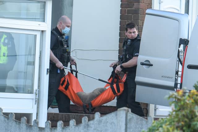 One of the dogs being taken away by police. Photo: SnapperSK
