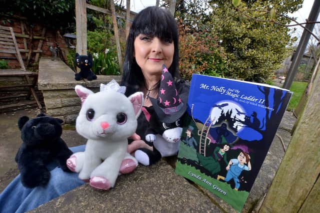 Lynda Ann Green has just published her second children's book called Mr Nolly and the Magic Ladder II