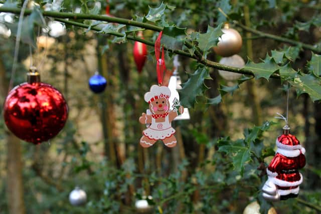 Decorations on the tree