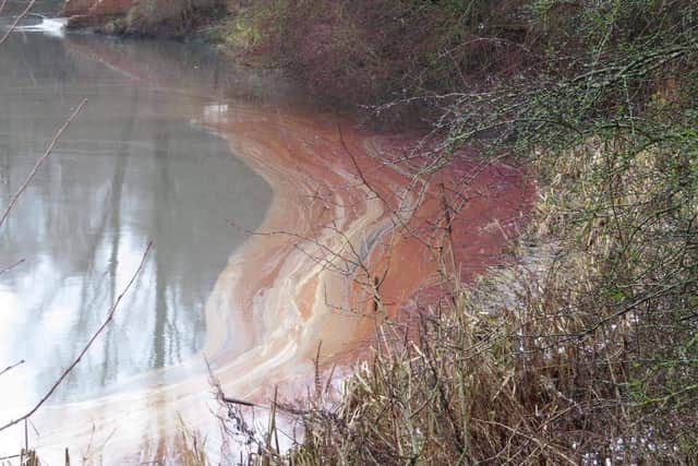 Part of the lake's surface became red from the spillage. Photo: Lisa Reynolds