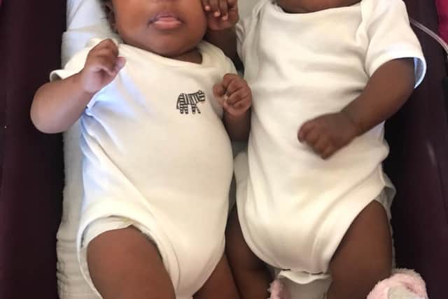 The twins