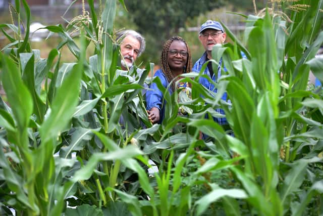 Alan Marriott, Florence and Geoff Gooding take a look through the Africa corn