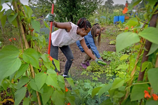 Blessing and Florence are two of six women who have tended to the allotments and made them vibrant places