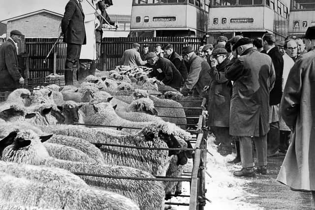 February 7, 1968: 'Precautions against foot and mouth were being used at Wolverhampton cattle market yesterday which was opened for the first time since foot and mouth restrictions came into force in November.' 