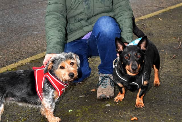 Pics around Bishops Wood, Stafford for the Love Your Neighbourhood feature. Dog walker Chris Dee.