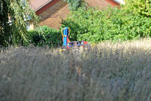 The play area