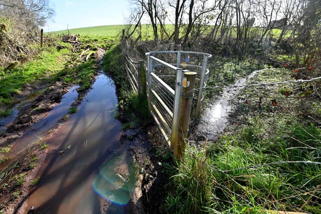 The footpath, part of the Staffordshire Way, waterlogged after heavy rain. Photo: Steve Leath