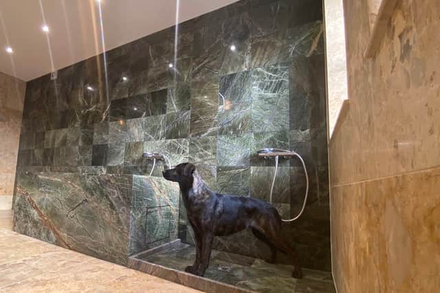 Inside the new grooming facility at K9 Anytime