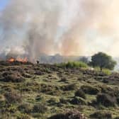 The fire on Cannock Chase grassland. Picture by Staffordshire Fire & Rescue