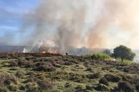 The fire on Cannock Chase grassland. Picture by Staffordshire Fire & Rescue