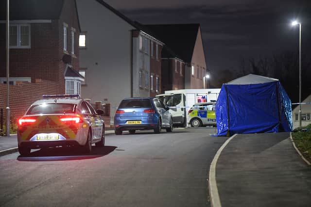 Emergency services were called to the Russells Hall estate after the fatal stab attack. Image: @SnapperSK