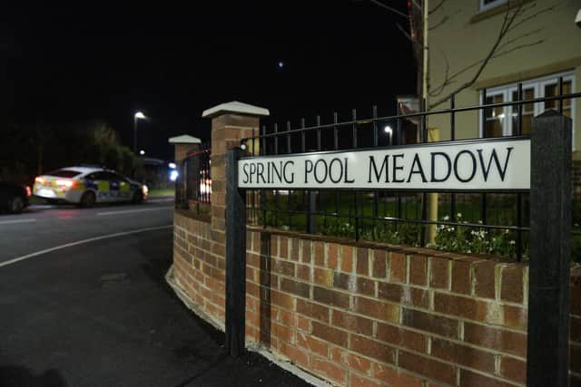 Spring Pool Meadow was cordoned off in the aftermath. Image: @SnapperSK