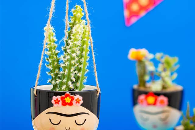 Frida Hanging Planter
