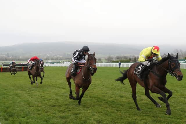 Imperial Alcazar ridden by Paddy Brennan gets up to beat Protektorat ridden by Harry Skelton after a stewards inquiry in the Ballymore Novices' Hurdle during the New Year's Day meeting at Cheltenham Racecourse